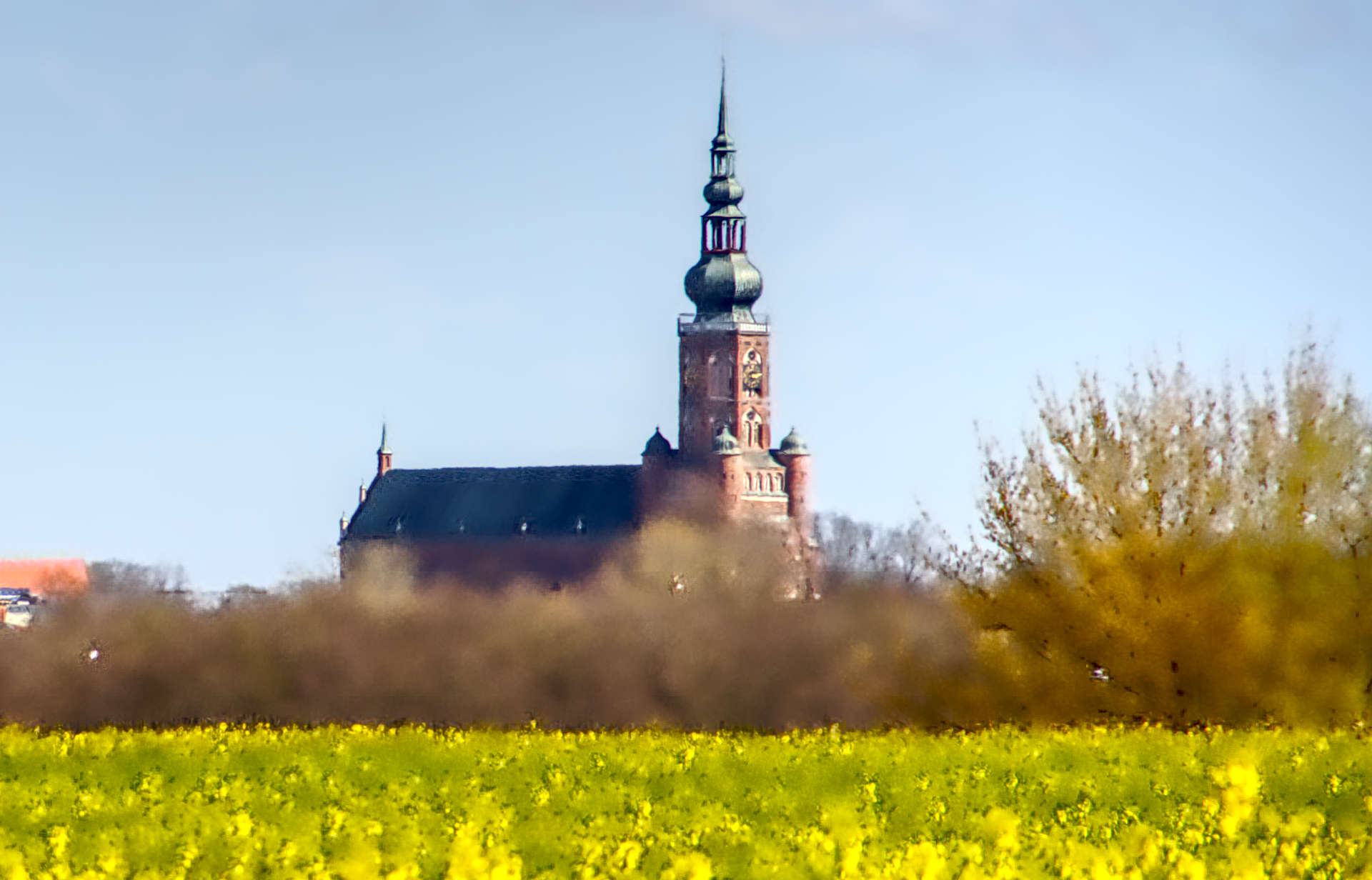 Dom St. Nikolai Greifswald